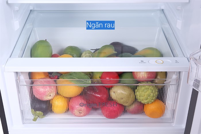 Tủ Lạnh Toshiba Inverter 407 Lít GR-RT535WE-PMV(06)-MG